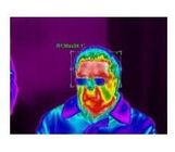 Caméra non refroidie de formation d'images thermiques de Vox FPA du bourdonnement 2× électronique en temps réel pour la mesure de température corporelle